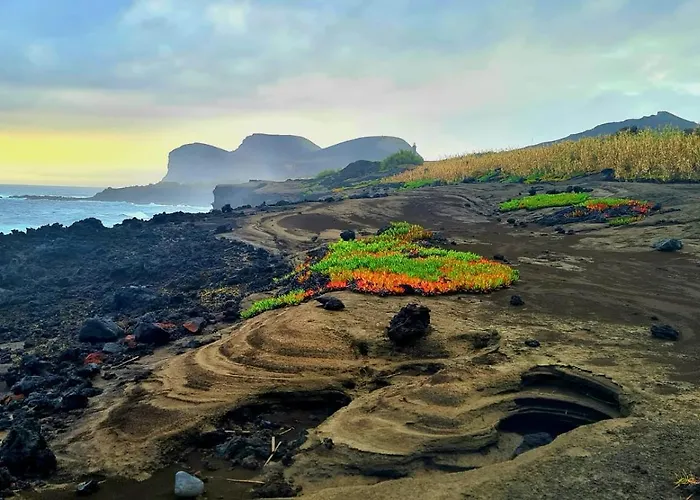 Casita Da Doctora Cedros