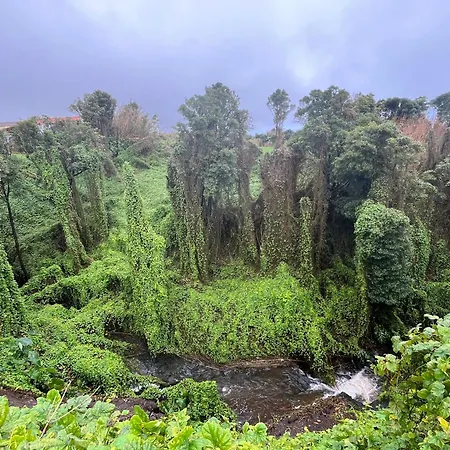 Hébergement de vacances Casita Da Doctora Cedros
