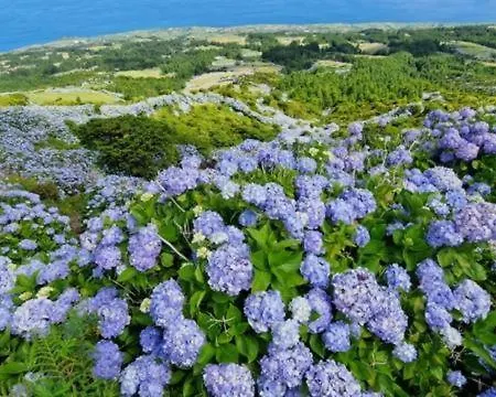 Casita Da Doctora Holiday home Cedros