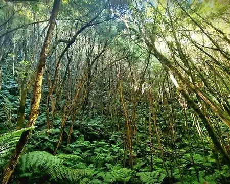 Holiday home Casita Da Doctora Cedros