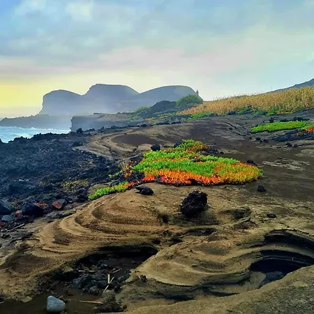 Casita Da Doctora Cedros