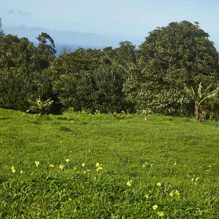 Casita Da Doctora Casa de Férias Cedros