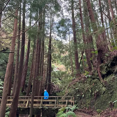 Holiday home Casita Da Doctora Cedros