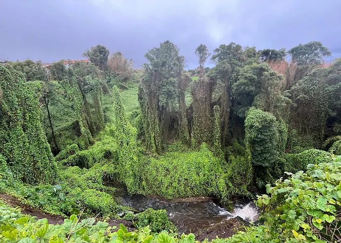 Nyaraló Casita Da Doctora Cedros
