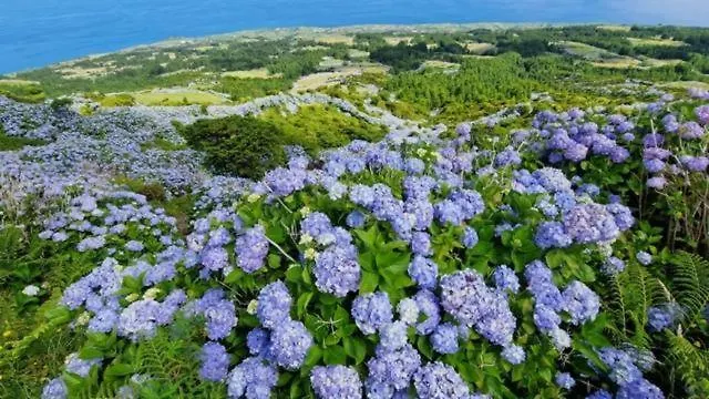 Casita Da Doctora Сasa de vacaciones Cedros