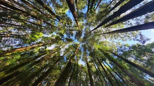 Сasa de vacaciones Casita Da Doctora Cedros
