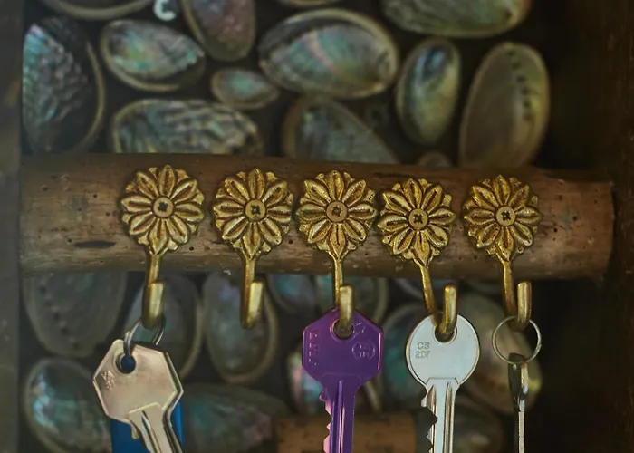 Casita Da Doctora Cedros