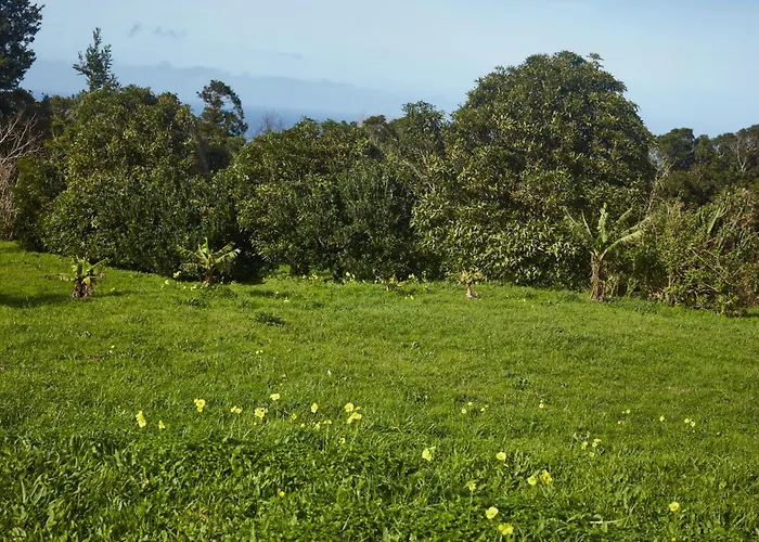 Casita Da Doctora Hébergement de vacances Cedros