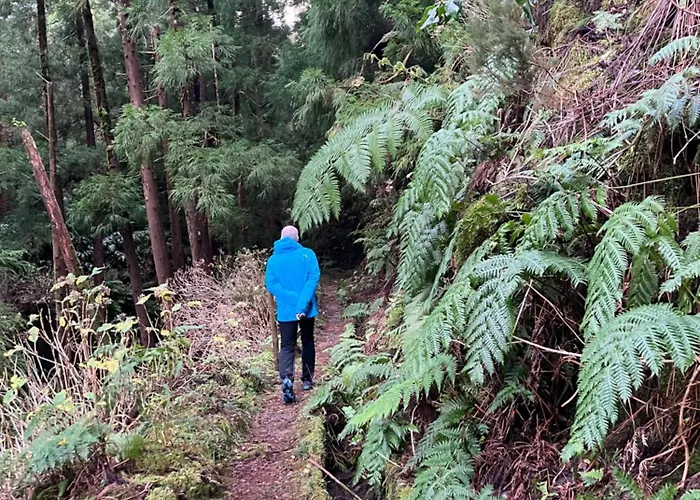 Casita Da Doctora Cedros