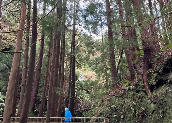 Nyaraló Casita Da Doctora Cedros