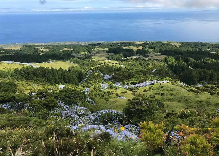 Casita Da Doctora Hébergement de vacances Cedros